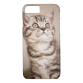 かわいい灰色のイギリスの短い髪の子ネコ(青い虎猫) Case-Mate iPhoneケース (裏面)