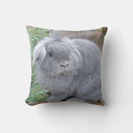 かわいい灰色のウサギ クッション (正面)