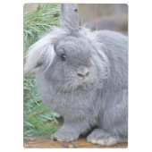 かわいい灰色のウサギ クリップボード (裏面)