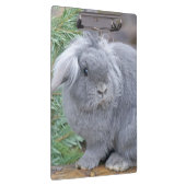 かわいい灰色のウサギ クリップボード (右)