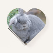 かわいい灰色のウサギ ノートブック (正面)