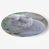 かわいい灰色のウサギ ペーパープレート (アングル)