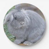 かわいい灰色のウサギ ペーパープレート (正面)