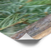 かわいい灰色のウサギ ポスター (コーナー)