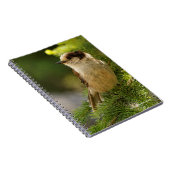 かわいい灰色のジェイのプロフィール/ウィスキージャック ノートブック (右側)