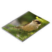 かわいい灰色のジェイのプロフィール/ウィスキージャック ノートブック (左側)