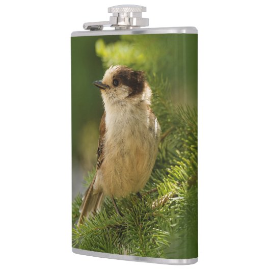 かわいい灰色のジェイのプロフィール/ウィスキージャック フラスク (左)