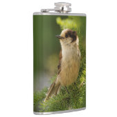 かわいい灰色のジェイのプロフィール/ウィスキージャック フラスク (右)