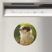 かわいい灰色のジェイのプロフィール/ウィスキージャック マグネット (インサイチュ (食洗機))