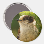 かわいい灰色のジェイのプロフィール/ウィスキージャック マグネット (正面/裏面)