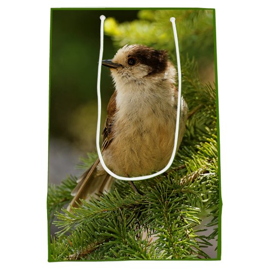 かわいい灰色のジェイのプロフィール/ウィスキージャック ミディアムペーパーバッグ (裏面)