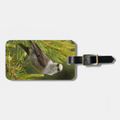 かわいい灰色のジェイ ラゲッジタグ (正面横)