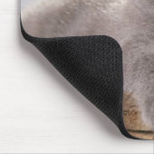 かわいい灰色の子ネコのmousepad マウスパッド (コーナー)