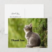 かわいい灰色の子猫が上を見上げる写真ありがとう ポストカード (正面/裏面)