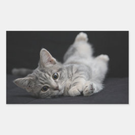 かわいい灰色の猫 長方形シール