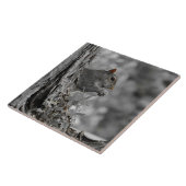 かわいい灰色リス タイル (側面)