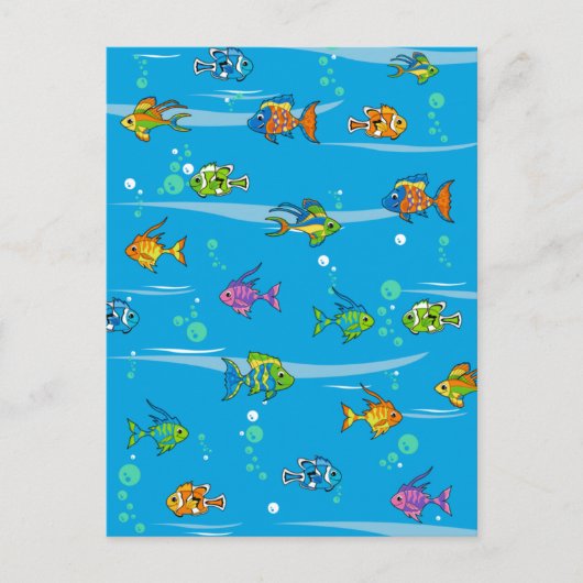 かわいい熱帯魚はがき ポストカード (正面)