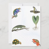 かわいい爬虫類をテーマにした子どもの誕生日パーティー 招待状 (裏面)