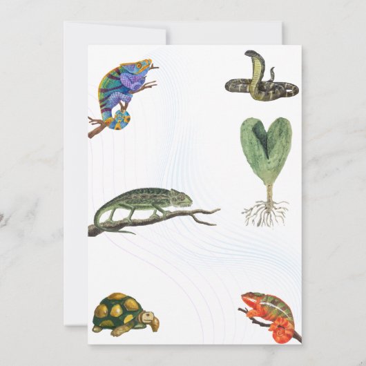 かわいい爬虫類をテーマにした子どもの誕生日パーティー 招待状 (裏面)