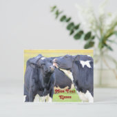 かわいい牛のキッス ポストカード (スタンド正面)