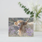 かわいい牛のクローズアップ感謝ポストカード ポストカード (スタンド正面)