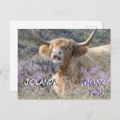 かわいい牛のクローズアップ サンクス ポストカード (正面/裏面)