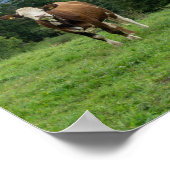 かわいい牛の牧草地，写真，おもしろい ポスター (角)