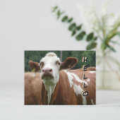 かわいい牛の財布。ハローハガキ ポストカード (スタンド正面)