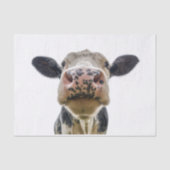 かわいい牛の農場の動物 薄葉紙 (正面)