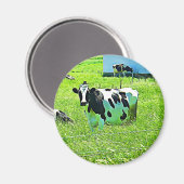かわいい牛オンザファームマグネット マグネット (正面/裏面)