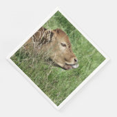 かわいい牛 (コーナー)