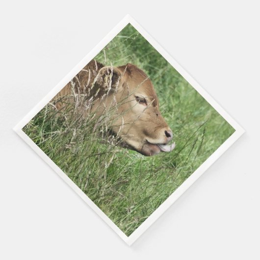 かわいい牛 (コーナー)