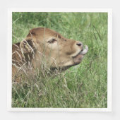 かわいい牛 (正面)