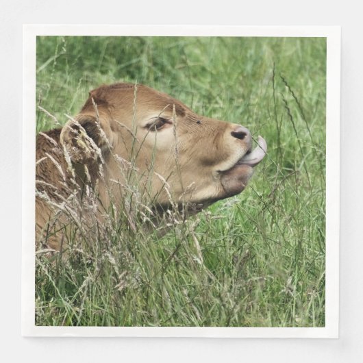 かわいい牛 (正面)