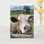 かわいい牛 カード (黄色い花)