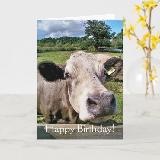 かわいい牛 カード (黄色い花)