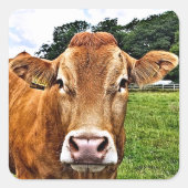 かわいい牛 スクエアシール (正面)