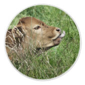 かわいい牛 セラミックノブ (正面)