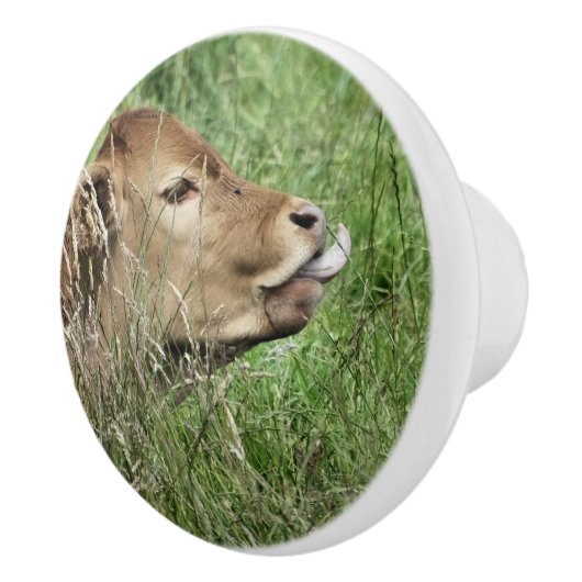 かわいい牛 セラミックノブ (右)