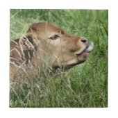 かわいい牛 タイル (正面)