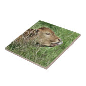 かわいい牛 タイル (側面)