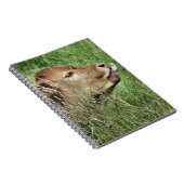 かわいい牛 ノートブック (右側)