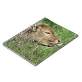 かわいい牛 ノートブック (左側)