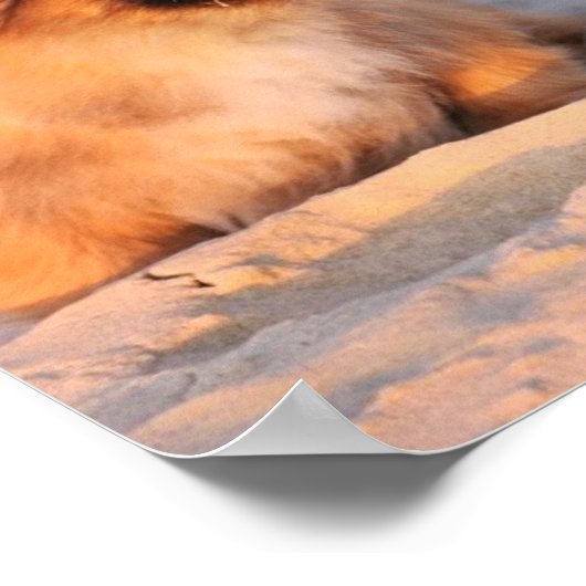 かわいい牡丹犬 ポスター (角)