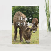 かわいい牧場の動物 ロバの誕生日 カード (正面)