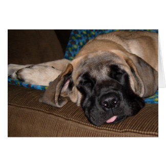 かわいい特大の厚化粧