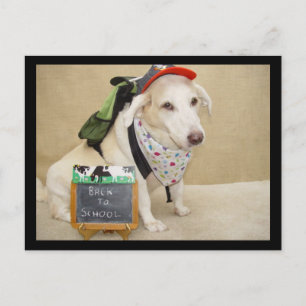 かわいい犬おもしろい新学期 ポストカード