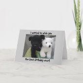 かわいい犬およびくまの誕生日 カード (正面)