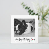 かわいい犬からのホリデー・ラブ (スタンド正面)