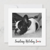 かわいい犬からのホリデー・ラブ (正面)